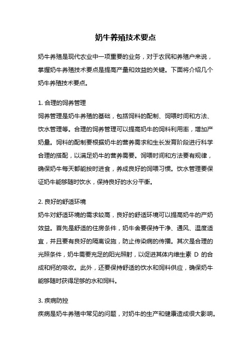 奶牛养殖技术要点