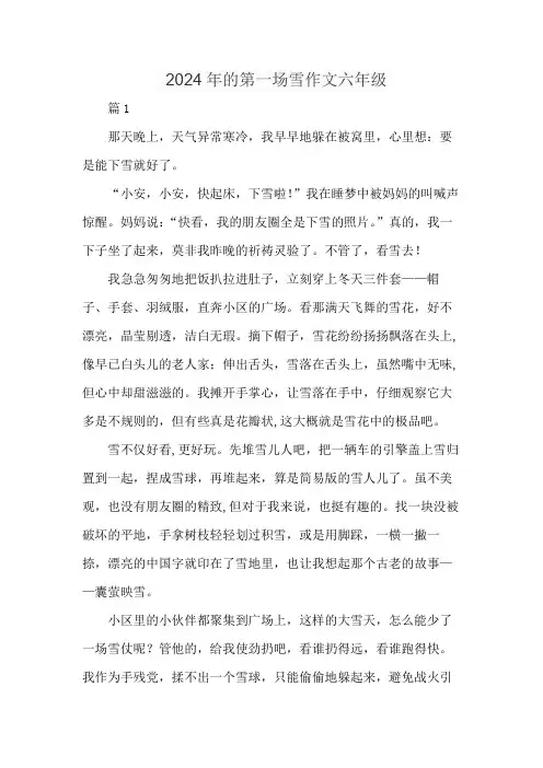 2024年的第一场雪作文六年级