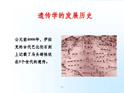 《遗传学发展史》PPT课件