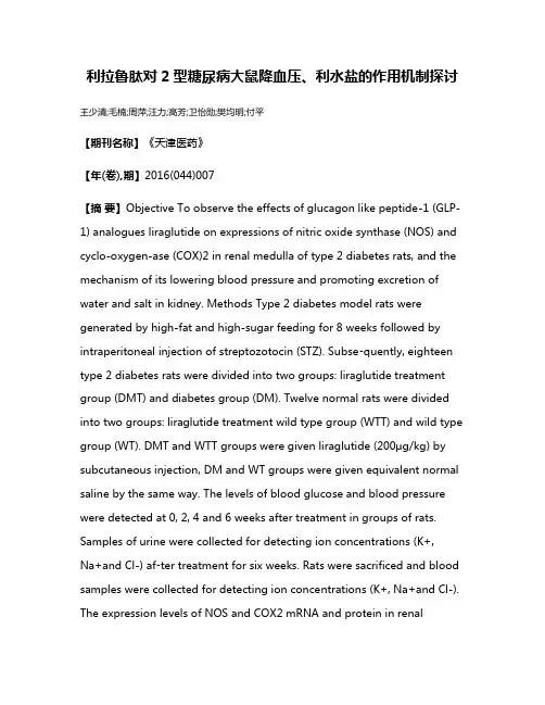 利拉鲁肽对2型糖尿病大鼠降血压、利水盐的作用机制探讨