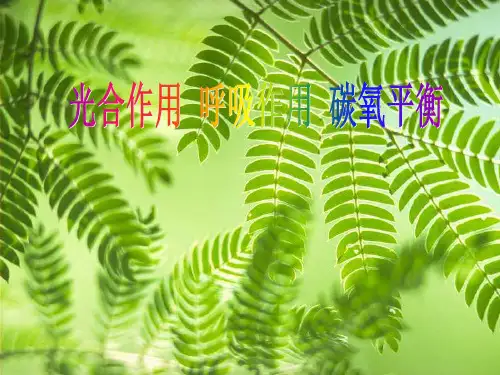 光合作用 呼吸作用 碳氧平衡PPT课件