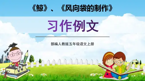 部编人教版五年级语文上册《习作例文：鲸、风向袋的制作》精品教学课件PPT小学优质优秀课件2配套版