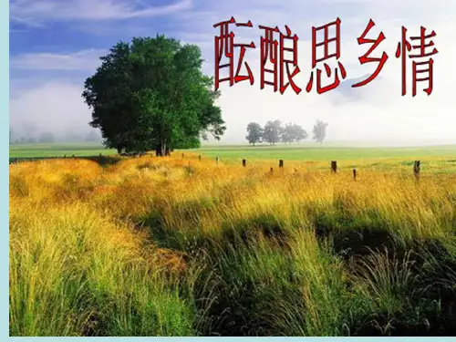 《想北平》优秀 ppt课件