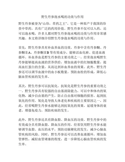 野生丹参泡水喝的功效与作用