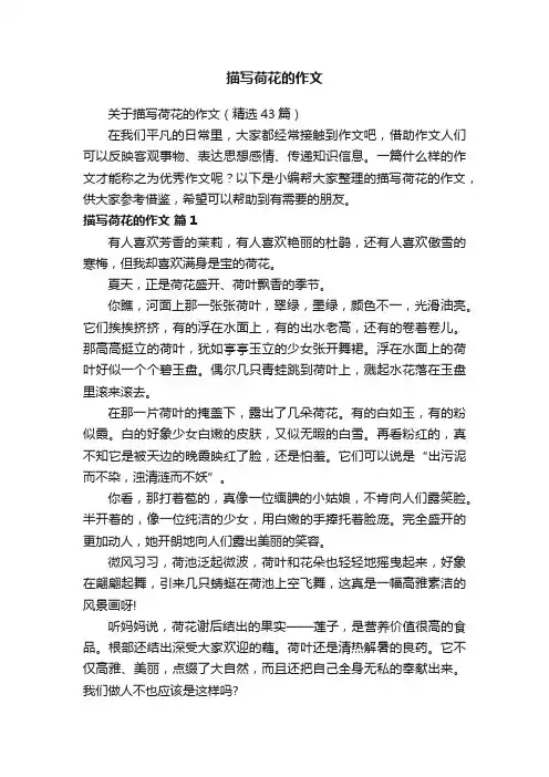关于描写荷花的作文（精选43篇）