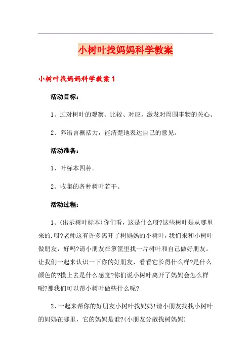 小树叶找妈妈科学教案