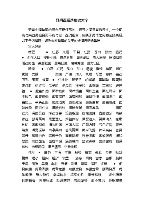 好词语精选集锦大全
