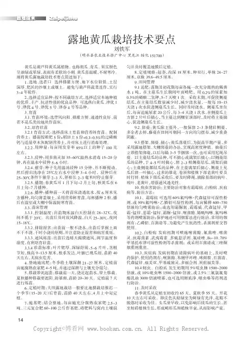 露地黄瓜栽培技术要点