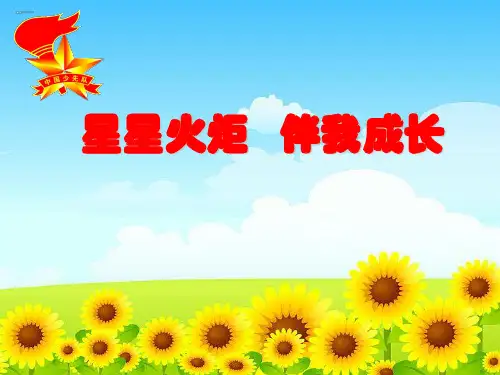 星星火炬伴我成长
