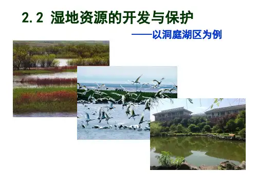 湿地资源的开发与保护(共35张PPT)