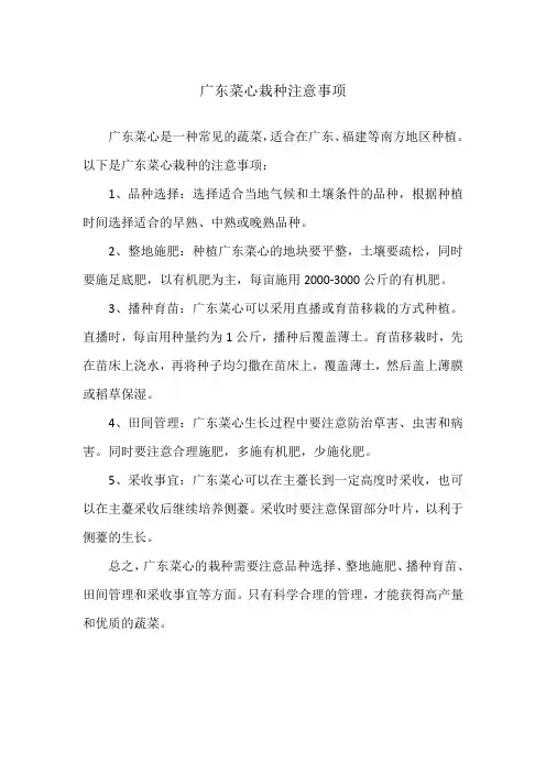 广东菜心栽种注意事项