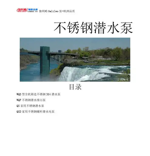 不锈钢潜水泵