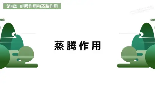  蒸腾作用ppt课件