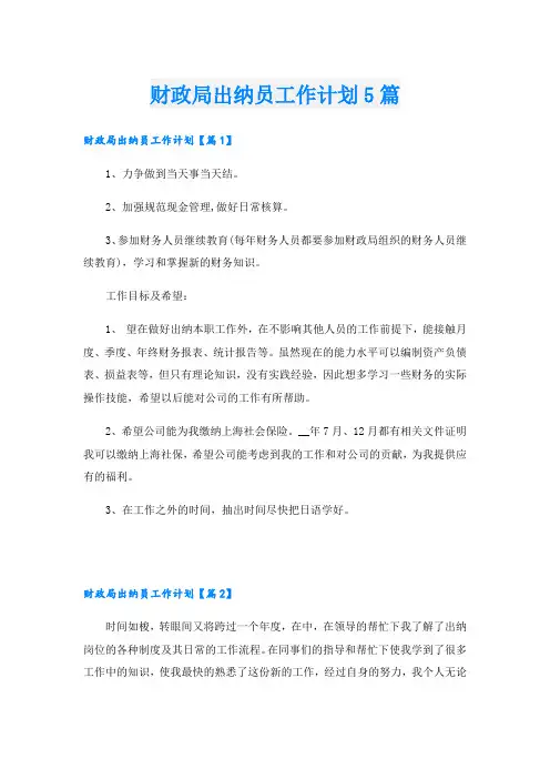 财政局出纳员工作计划5篇