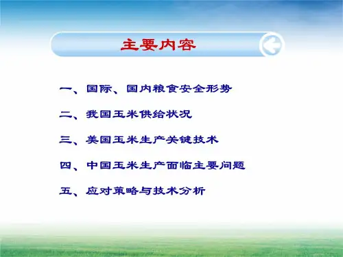 美国玉米生产概况与我国未来发展趋势课件