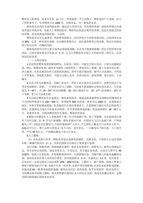鳄鱼龟