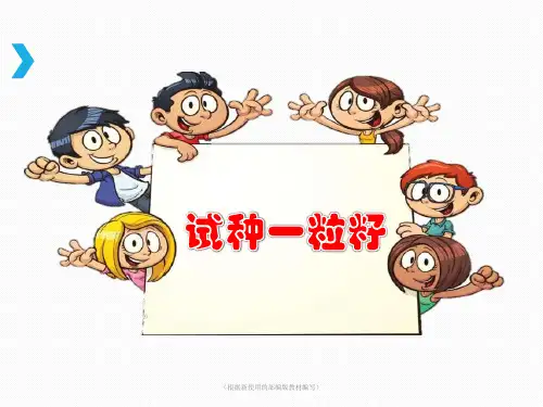 二年级下册道德与法治课件-《试种一粒籽》 人教(新版)(共12张PPT)