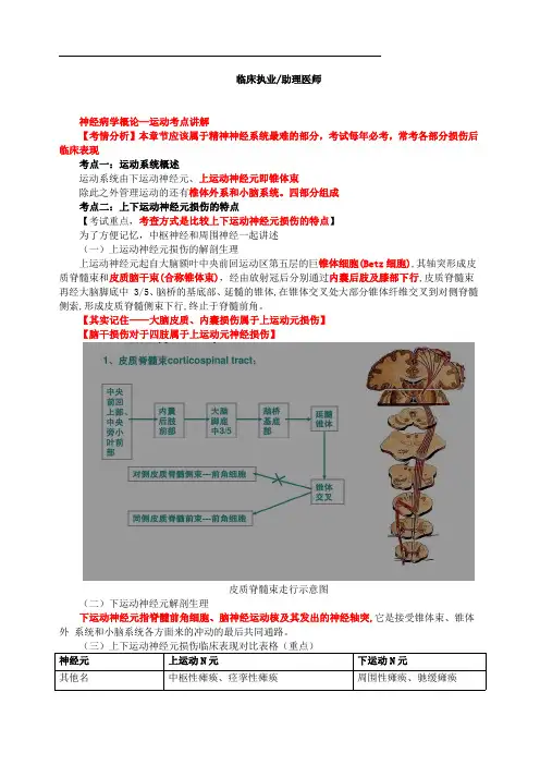 2020年临床执业医师高频考点：神经系统概论
