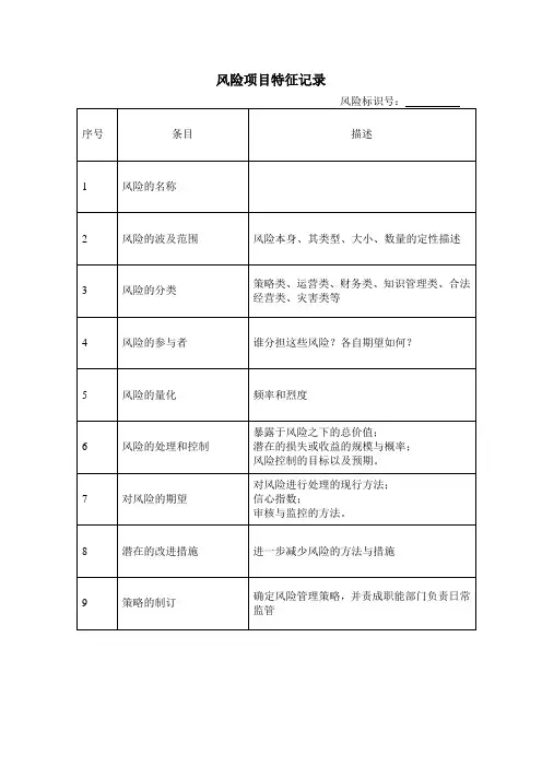 风险项目描述表