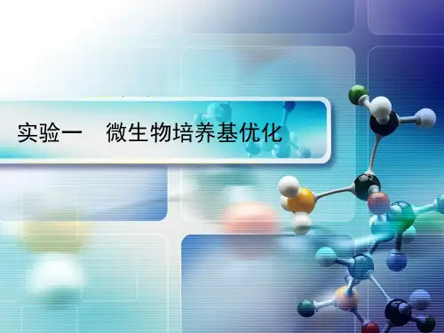 实验一 培养基优化 - 副本