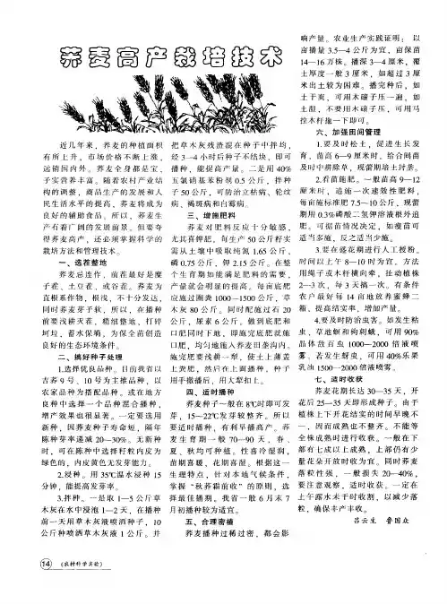 荞麦高产栽培技术