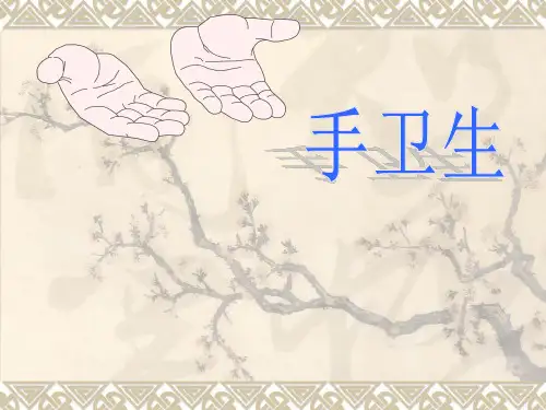 院感手卫生ppt课件