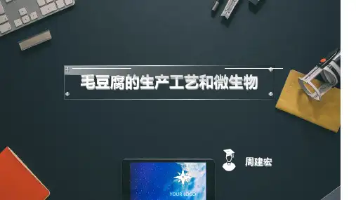 毛豆腐的生产工艺和微生物