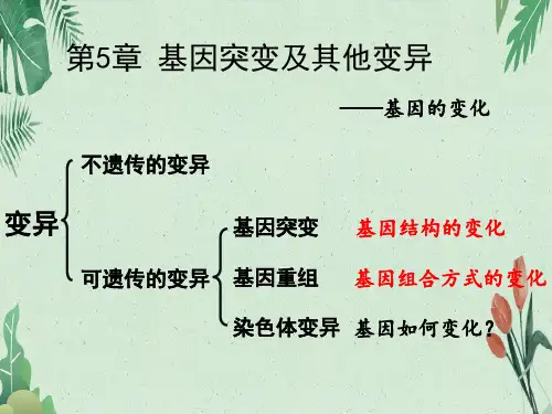 染色体变异一轮复习(21张PPT)(完美版课件)