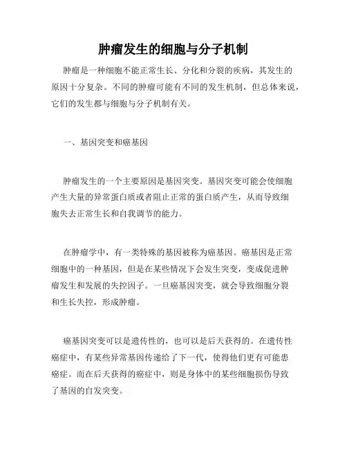 肿瘤发生的细胞与分子机制