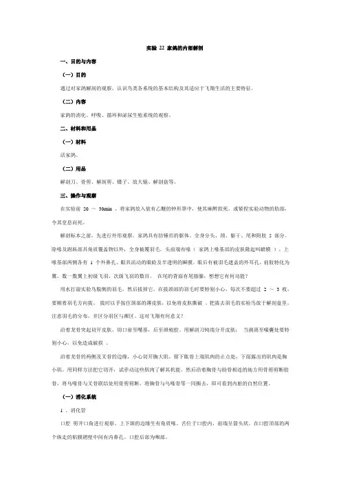 家鸽的内部解剖
