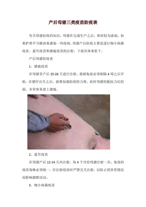 产后母猪三类疫苗防疫表