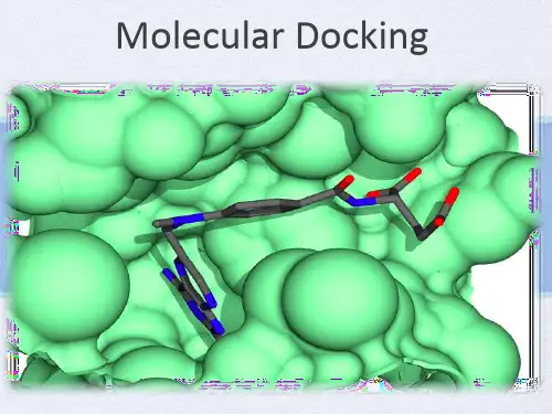 Molecular_Docking