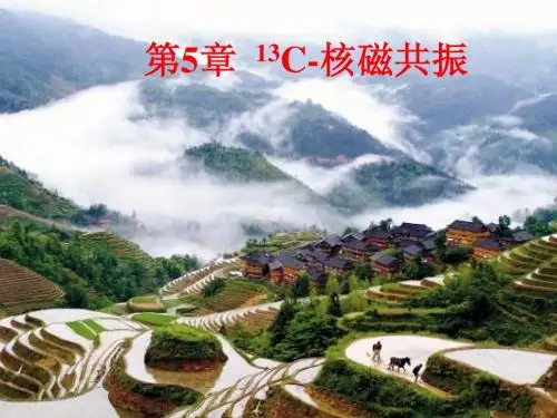第5章碳谱