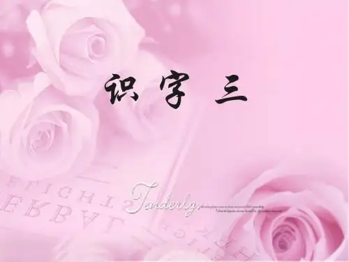 二年级语文下册识字3课件v