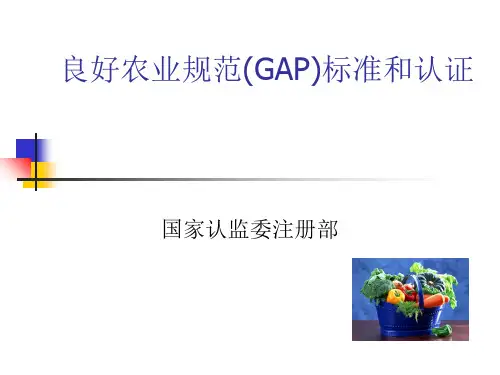 GAP标准和认证知识