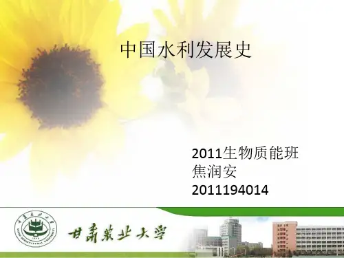 中国水利发展史
