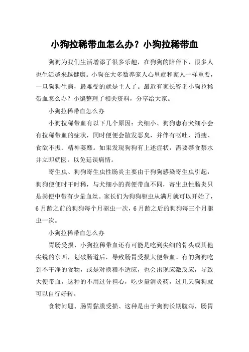 小狗拉稀带血怎么办？小狗拉稀带血