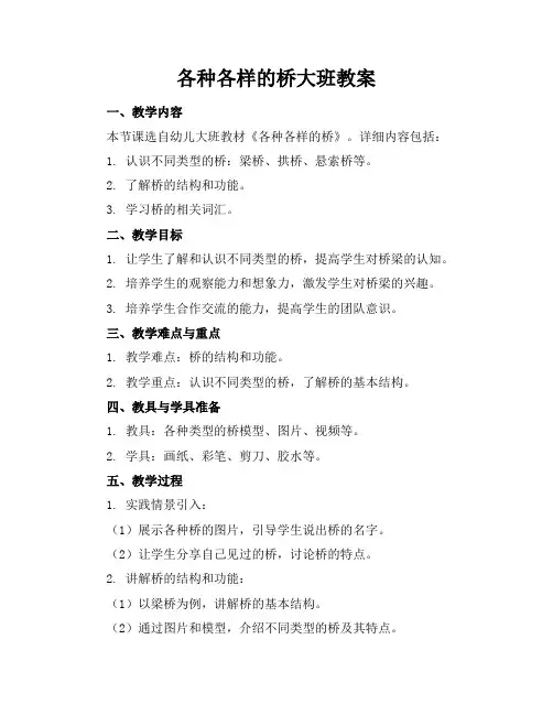 各种各样的桥大班教案