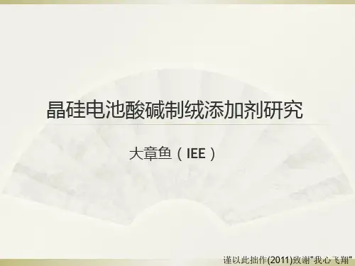 晶硅电池酸碱制绒添加剂研究