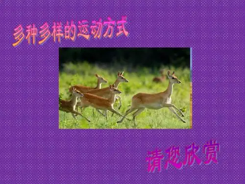 《动物的运动》课件2(18页)(济南版七年级上)