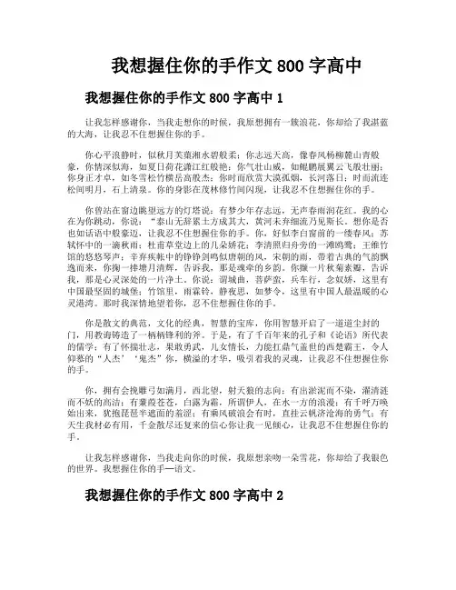 我想握住你的手作文800字高中
