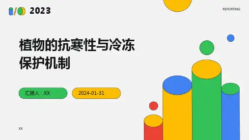 植物的抗寒性与冷冻保护机制
