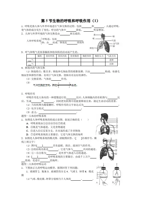 浙教版科学八年级下册第三章第五节-生物的呼吸和呼吸作用-一课时练习( 包含答案)
