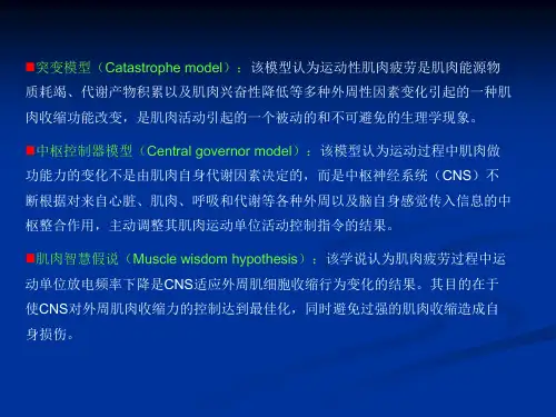 第十五章运动性肌肉疲劳