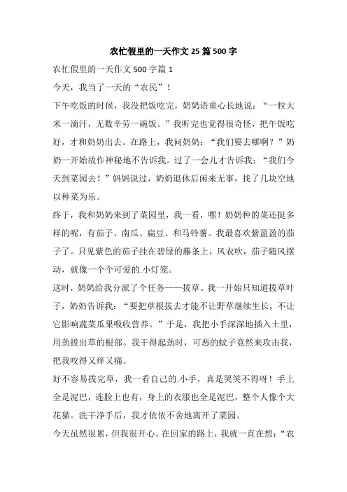 农忙假里的一天作文25篇500字