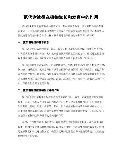 氮代谢途径在植物生长和发育中的作用