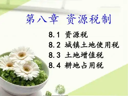 00146中国税制(8-10章)