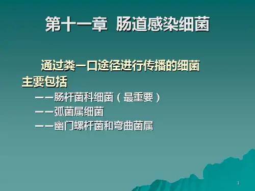 第十章  肠道感染细菌PPT课件