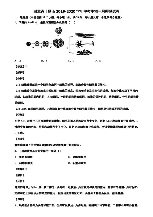 湖北省十堰市2019-2020学年中考生物三月模拟试卷含解析
