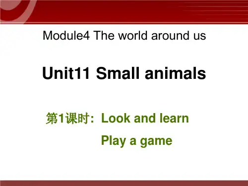 牛津英语三年级上册第11单元Unit 11《Small animals》教学课件